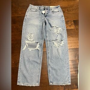 American Eagle Outfitters Light Blue Distressed Straight Leg Jeans